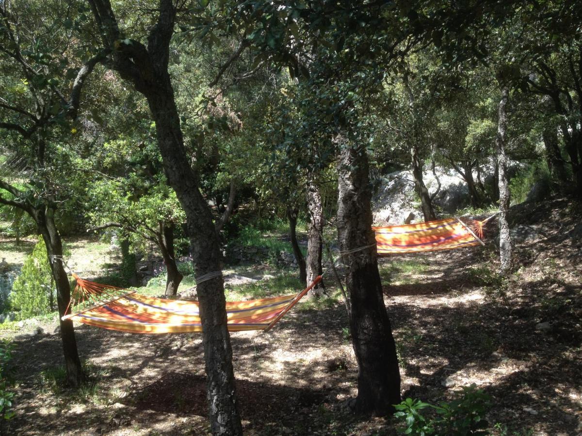 L'Abri La Vall Sorede Bagian luar foto