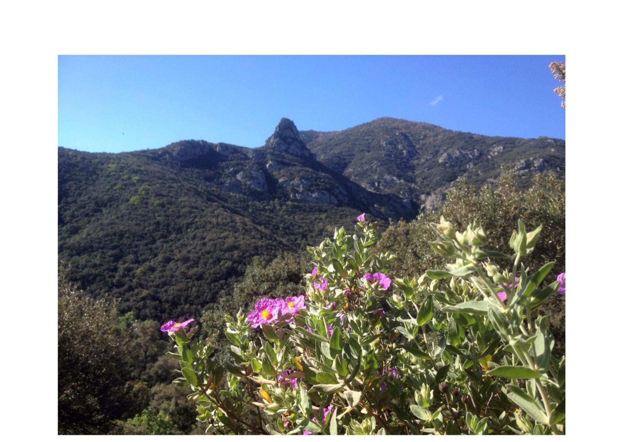 L'Abri La Vall Sorede Bagian luar foto